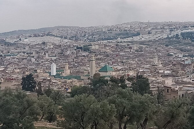 Private Guided Tour in Fez Medina - Nejjarine Square and Traditional Woodwork