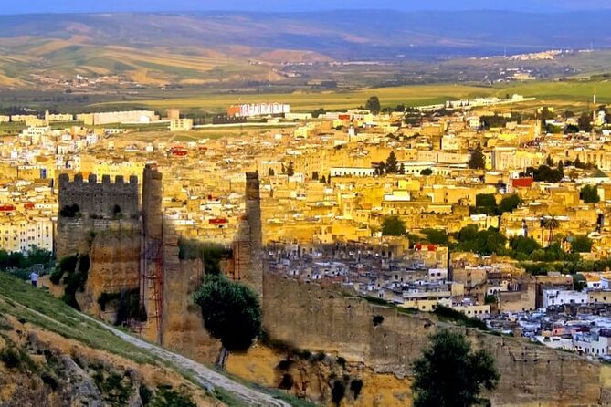 Private Guided Tour of the Medina of Fez and its Surroundings - Al-Qarawiyyin and the limits of access