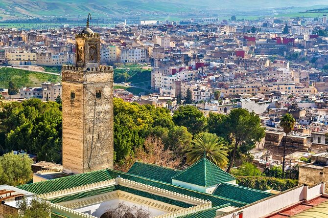 Private Guided Tour of the Medina of Fez and its Surroundings - Chouara Tannery and the sensory side of Fez
