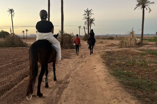 Private horseback ride in the Palmeraie of Marrakech - Guides, safety, and comfort