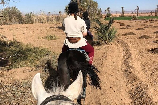 Private horseback ride in the Palmeraie of Marrakech - Who should book this ride?