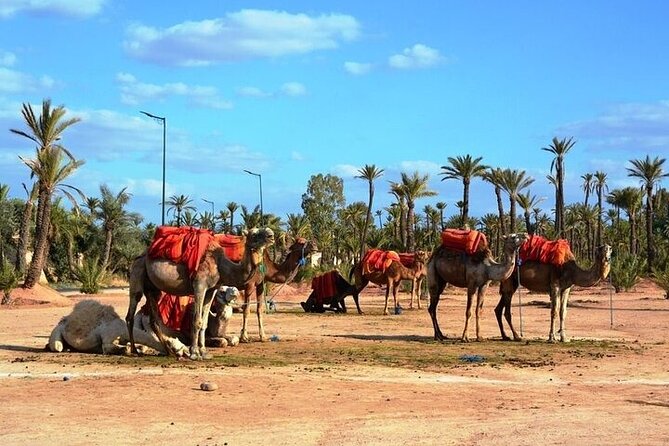 Private Marrakech Day Trip from Casablanca with Free Camel Ride - Koutoubia Mosque and the city’s great landmark