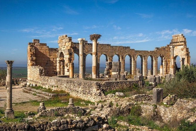 Private Meknes Volubilis -Mouly Idriss day trip from Fez - Leaving Fez at 10:00 am