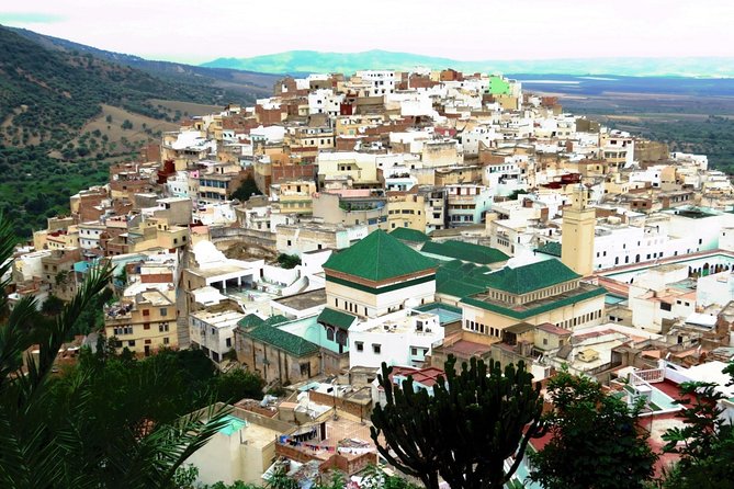Private Meknes Volubilis -Mouly Idriss day trip from Fez - Meknes and the imperial-city finish
