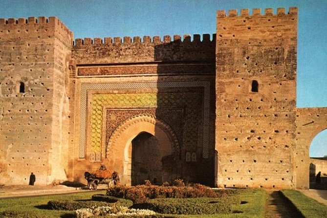 Private Meknes Volubilis -Mouly Idriss day trip from Fez - The drivers and the human side of the day