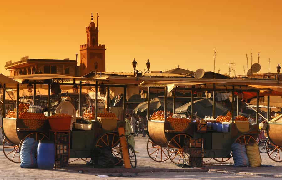 Private Tour: Half-Day Sightseeing Tour of Marrakech - Key points at a glance