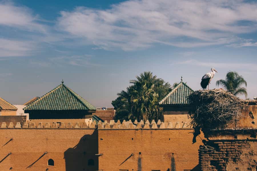 Private Tour: Half-Day Sightseeing Tour of Marrakech - Guides, languages, and the feel of the tour