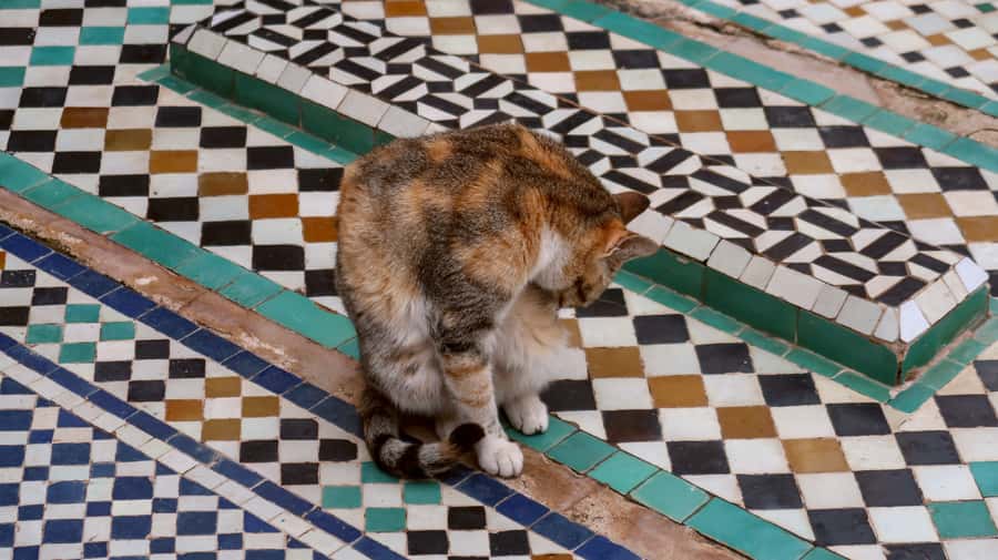 Private Tour: Half-Day Sightseeing Tour of Marrakech - The Koutoubia Mosque and its place in the city