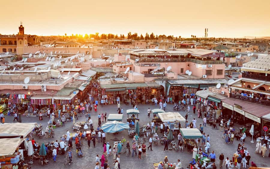Private Tour: Half-Day Sightseeing Tour of Marrakech - Starting from your hotel or riad