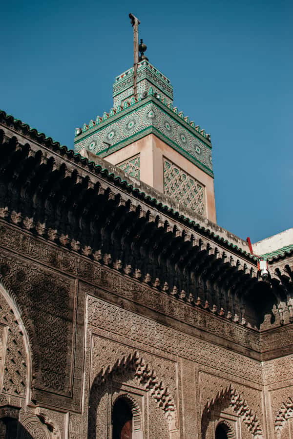 Private Tour –In Old Medina of Fez with a Professional Guide - Tanneries, Leather, and the Smell of Real Work