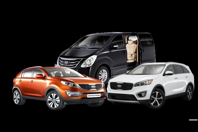 Private transfer Marrakech to Essaouira or Essaouira toMarrakech - Returning From Essaouira to Marrakech