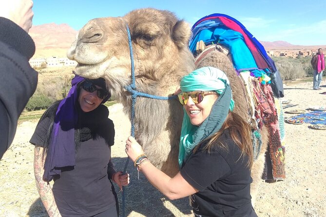 Private Transport from Chefchaouen to Tangier - The 2-hour-10-minute road journey
