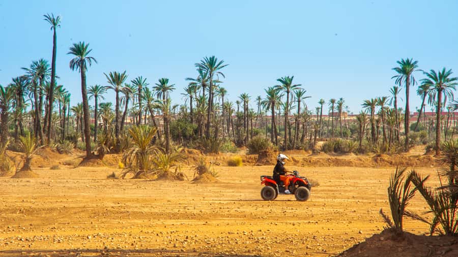 Quad Bike Activity in Marrakech Palmeraie - A local guide makes the difference