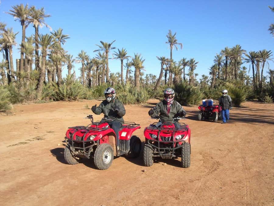 Quad Bike Activity in Marrakech Palmeraie - Who will enjoy this activity most