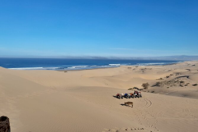 Quad Bike and Sandboarding on Sand Dunes Wild Beach - From hotel pickup to the first quad ride
