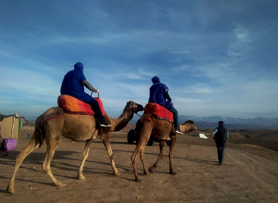 Quad bike & Camel ride in Agafay with dinner at Chouf L’or - Quad biking across the rocky desert