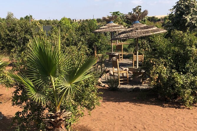 Quad Biking and Sandboarding on Sand Dunes Wild Beach - What the $87.11 price covers