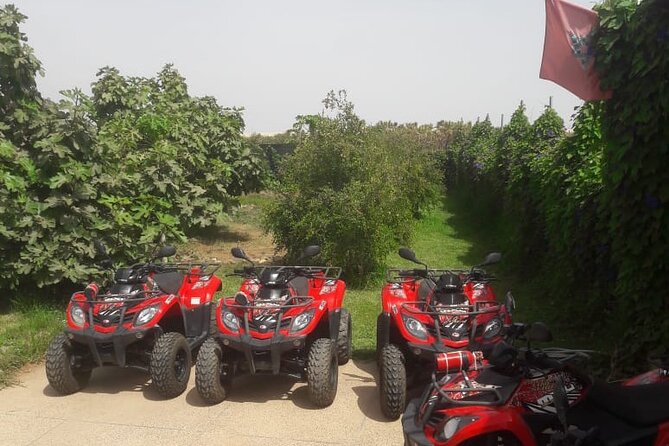 Quad Biking and Sandboarding on Sand Dunes Wild Beach - Who will enjoy this outing most