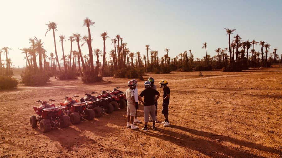 Quad biking in Marrakech's desert palm grove - What the Palmeraie ride is really like