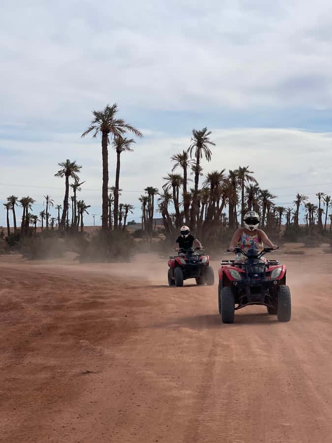 Quad biking in Marrakech's desert palm grove - Practical details that affect your day