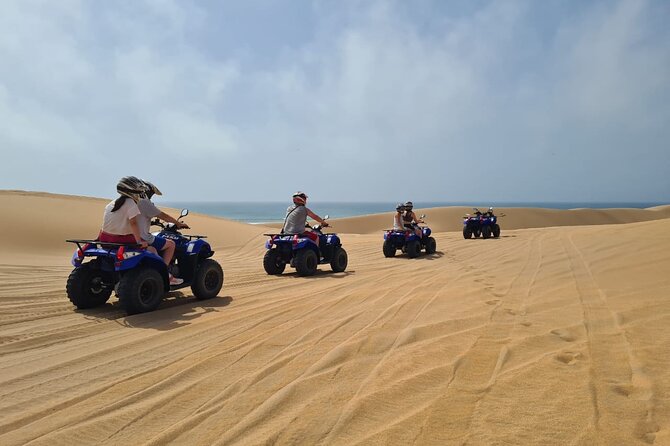 Quad to the Sand Dunes and Wild Beach - Sandy tracks beneath the argan trees