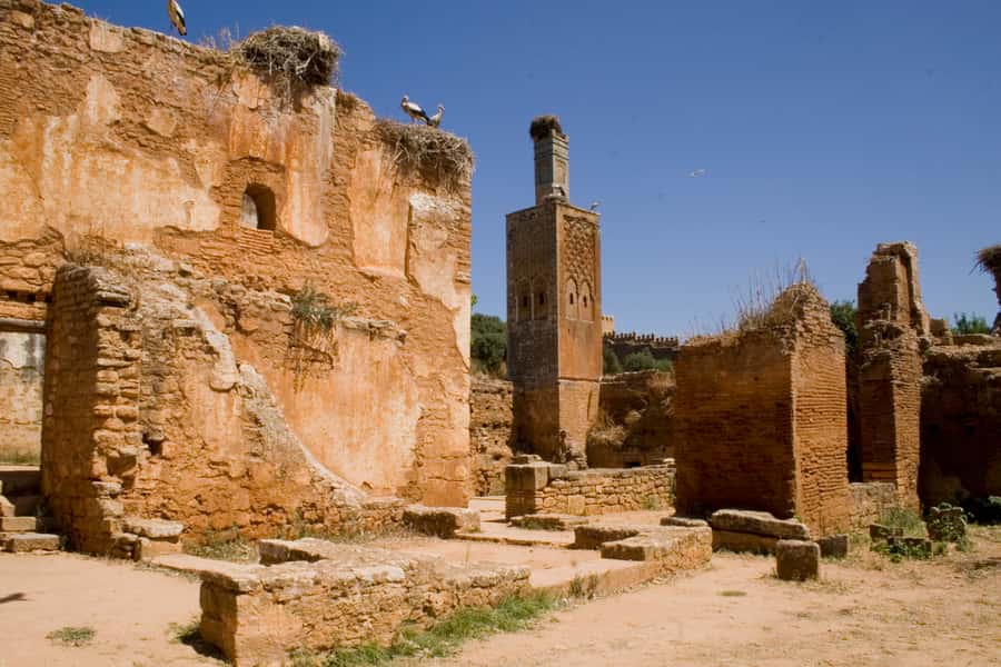 Rabat: Full-Day Trip from Casablanca - Walking through the Kasbah of the Udayas
