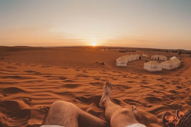 Sahara Desert Tour - 2 Days - Fez to Marrakech OR Return to Fez - Monkeys at the Azrou cedar forest
