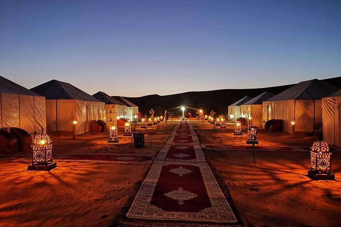 Sahara Desert Trip - 2 night 3 days - Fes to Marrakech OR Marrakech to Fes - Day one: Ifrane, Azrou, and the cedar forest