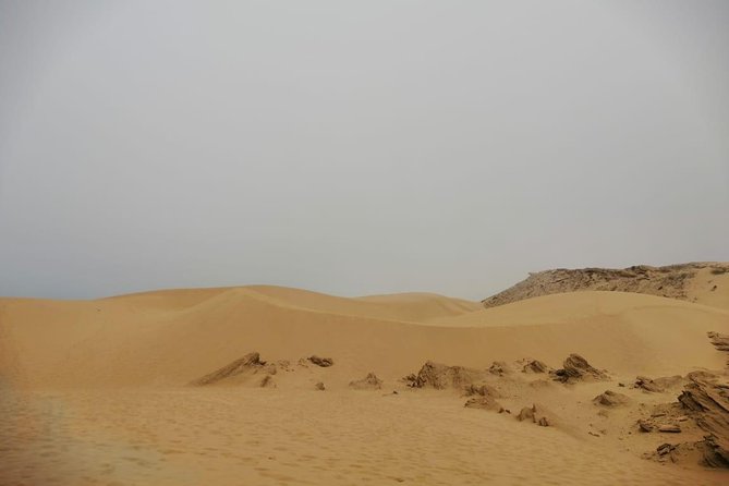 Sandboarding guided experience from Agadir - Tea, Breakfast, And A Berber Family Home