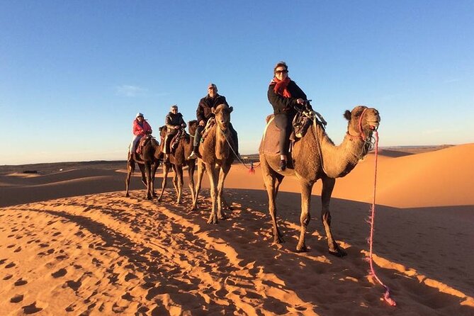 Shared Group 3 Days/2Nights: Fez to Marrakech Sahara Tour - What the $372.21 price covers