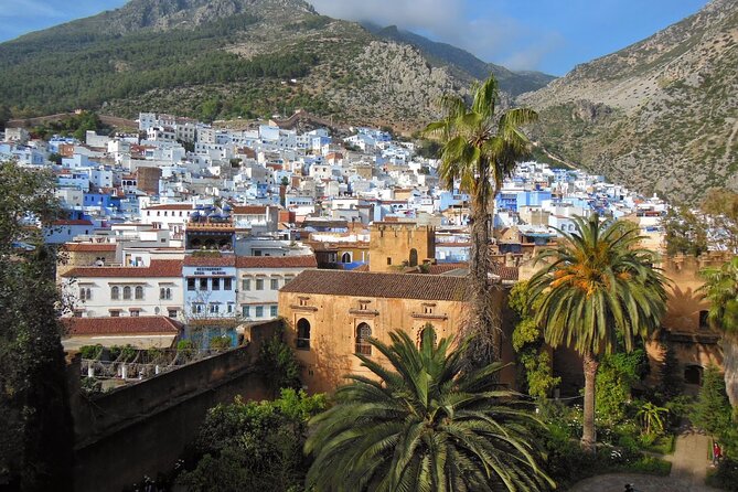Shared Group Chefchaouen Day Trip from Fez - The Grand Mosque and Ethnographic Museum