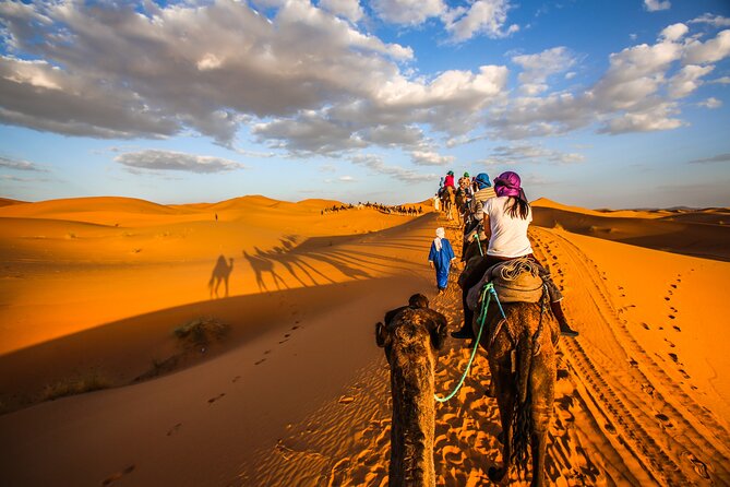 Shared Group Desert Tour Fes To Marrakech Via Merzouga 3 Days - Key points at a glance
