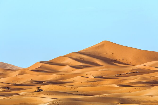 Shared Group Desert Tour Fes To Marrakech Via Merzouga 3 Days - What the $313.59 price includes