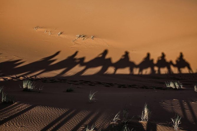 shared group Fez To Fez via Merzouga Desert Tour 2 Days/ 1 Night - Leaving Fez at 7:30 in the morning