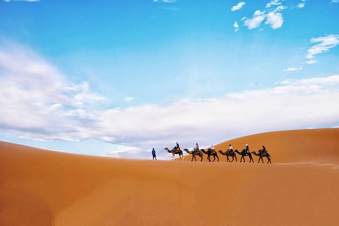 Shared Group Fez To Marrakech via Merzouga Desert Tour 2 Days - Comfort, pace, and what to pack