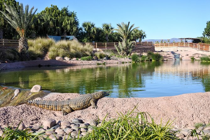 Skip the Line Ticket to Crocoparc with Optional Transfert - Arriving from Agadir: choose your transport carefully