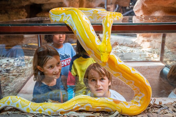 Skip the Line Ticket to Crocoparc with Optional Transfert - The Tropical Garden and its Bellombra