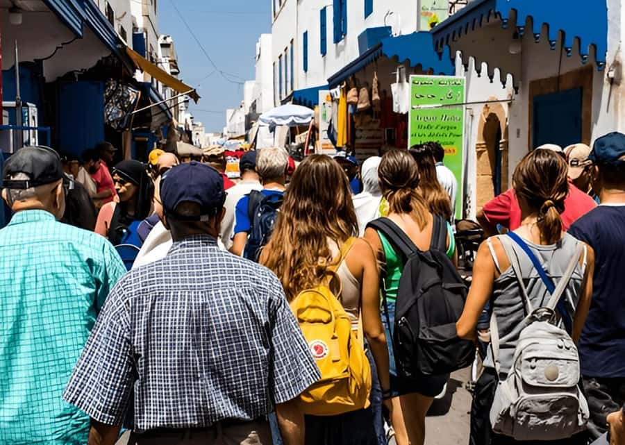 Small-Group Day Trip from Marrakech to Essaouira Mogador - What you can realistically see in one afternoon