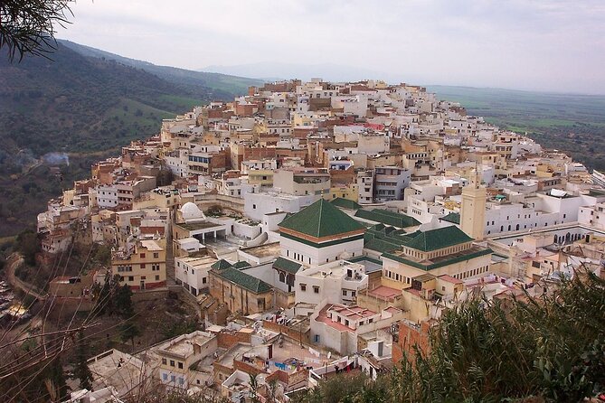 Small Group: From Fez to Volubilis -Mouly Idriss and Meknes day trip - Volubilis and the Roman ruins