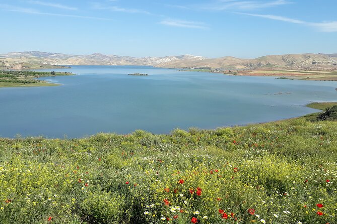 Small-Group Full-Day Meknes, Volubilis and Moulay Idriss Zerhoun Tour from Fez - Guides, drivers, and the human side of the tour