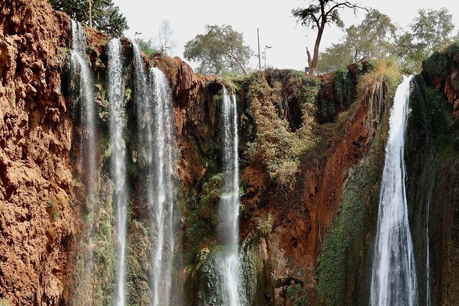Small group Ouzoud Waterfall Guided Tour Boat Ride from Marrakech - Lunch near Ouzoud, at your own cost