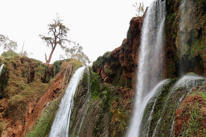 Small group Ouzoud Waterfall Guided Tour Boat Ride from Marrakech - What the $19.24 price really buys