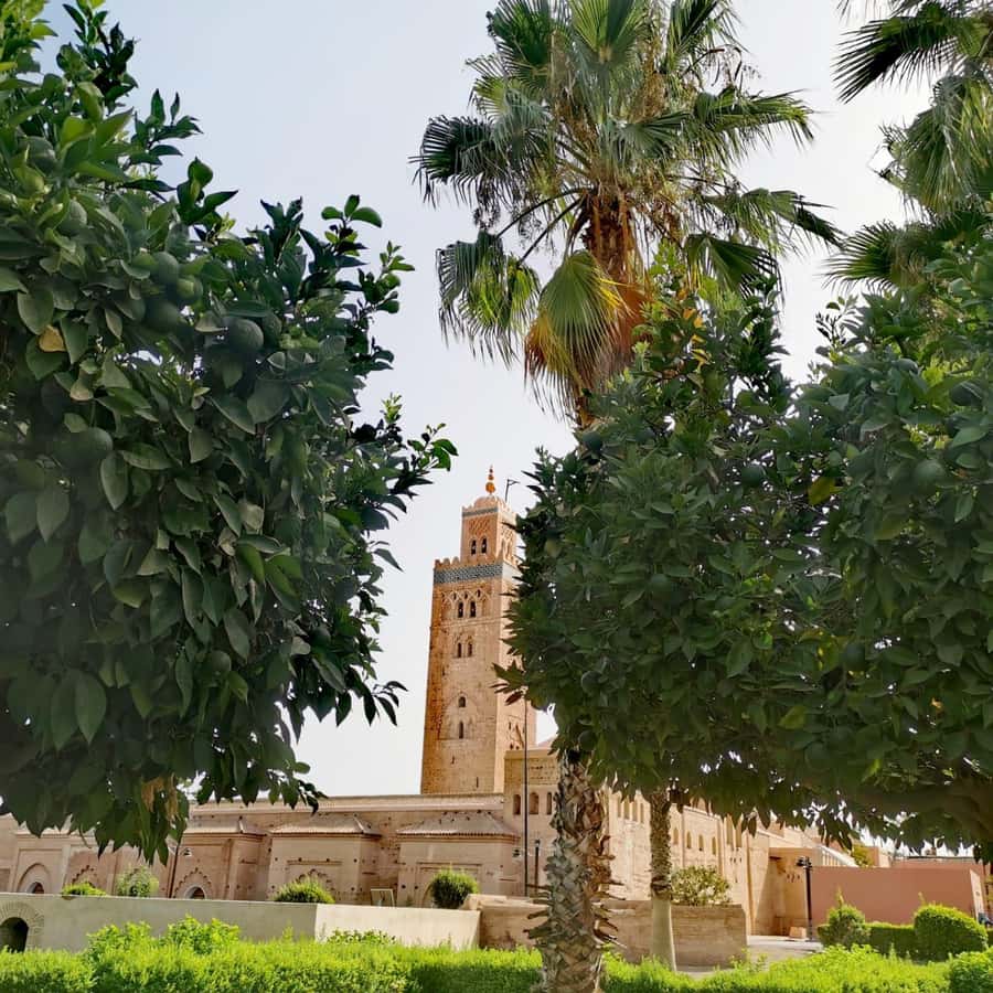 Sparkling Marrakech through the eyes of your local Guide - Starting at Argana Café in Jemaa el-Fnaa
