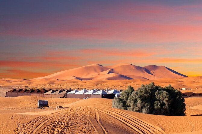 Standard trip in 1 night / 2 days from fez to merzouga - marrakech or back with same transportation fez - Azrou’s cedar forest and its famous monkeys