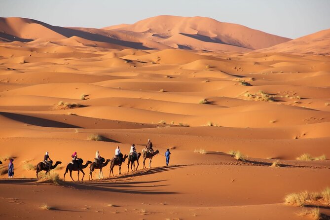 Standard trip in 1 night / 2 days from fez to merzouga - marrakech or back with same transportation fez - Ifrane, Morocco’s cool mountain stop