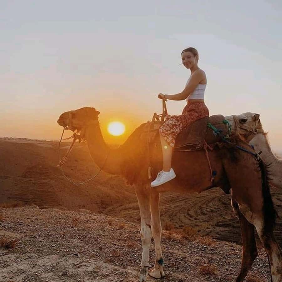 Sun set camel ride in palmerai of Marrakesh - Key points to know before you book
