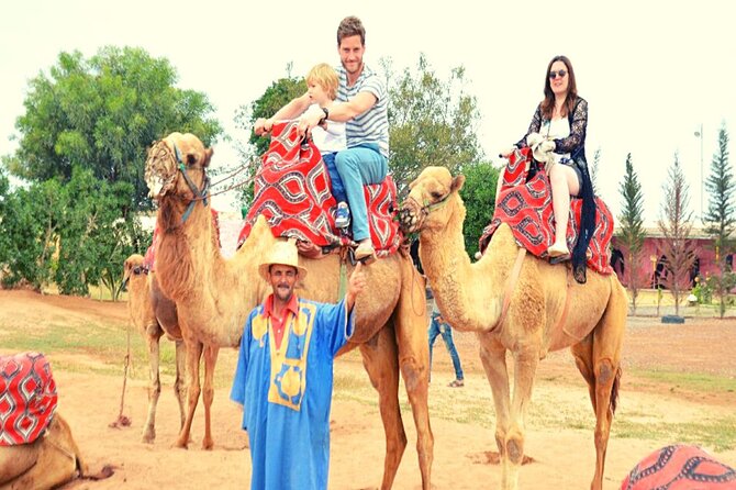 Sunset camel ride and barbecue dinner in Agadir - Key points to know before you book