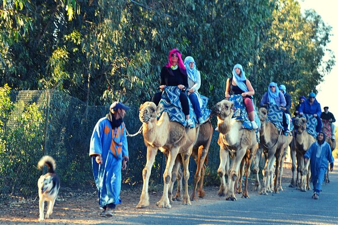 Sunset camel ride and barbecue dinner in Agadir - Leaving Agadir for the ranch