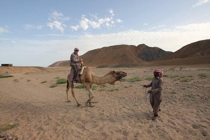 Sunset Camel Ride in Agadir or Taghazout With Transfers - Timing, group size, and what to bring