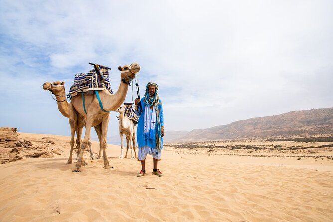 Sunset Camel Ride in Agadir with Dinner in Habitant House - Key points at a glance